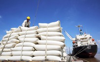 Đề nghị bỏ quy định "làm khó" xuất khẩu gạo