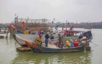 Lý do khiến 11 tàu cá bị phạt gần 1,4 tỉ đồng ở Quảng Bình