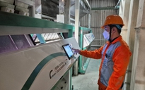 Rào cản với doanh nghiệp xuất khẩu gạo