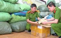 Thủ tướng yêu cầu đẩy nhanh điều tra vụ sữa giả, thuốc giả