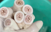 Vụ “lòng xe điếu”: TP HCM đang lấy mẫu kiểm nghiệm