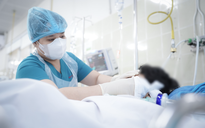 Sức khỏe bé trai bị cây rơi trúng trúng đầu ở TP HCM hiện ra sao?
