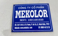 Công ty trong liên minh đề xuất làm dự án đường sắt tốc độ cao lãi hơn 1,3 triệu đồng