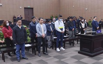Hai cựu phó giám đốc sở ở Quảng Nam sắp ra tòa phúc thẩm giai đoạn 2 vụ án chuyến bay giải cứu