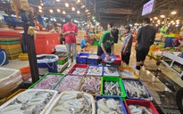 Bộ Tài chính: Có hộ kinh doanh hải sản tươi sống đạt doanh thu gần 560 tỉ đồng