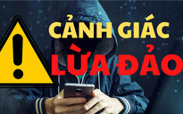 Bị lừa đảo hơn 434 tỉ đồng, nữ chủ doanh nghiệp tố giác gì đến công an?