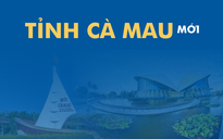 Toàn cảnh xã, phường, diện tích của tỉnh Cà Mau mới