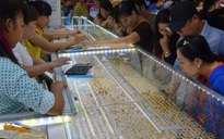 Giá vàng hôm nay, 3-6: Tăng vọt giữa căng thẳng thương mại