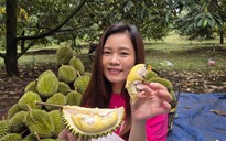 Lần đầu livestream bán sầu riêng Sáu Hữu tại vườn