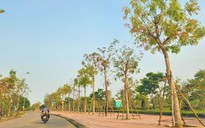 Quảng Bình: Cán bộ bị kỷ luật từ 2020 đến nay sẽ không được bổ nhiệm cao hơn