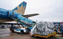 Vietnam Airlines lên kế hoạch thành lập hãng hàng không vận tải hàng hóa