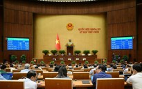 Thành lập Hội đồng Bầu cử quốc gia gồm 19 thành viên