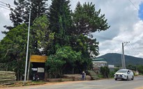 6 năm chờ giao đất trúng đấu giá