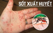 Đồng Tháp kêu gọi “mỗi tuần hãy dành 10 phút để phòng, chống sốt xuất huyết”