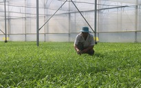 Tiếp tục miễn thuế sử dụng đất nông nghiệp đến hết năm 2030