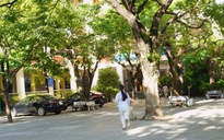 TP HCM: Một thí sinh được xét đặc cách tốt nghiệp
