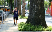 Chuyên gia lý giải nguyên nhân hàng loạt sự cố cây xanh ở TP HCM