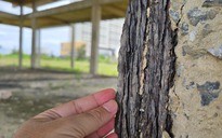 Dự án ven đường biển đẹp nhất Đà Nẵng trước khi bị thu hồi một phần