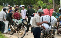 Cả ngàn người ở Đà Nẵng vào rừng nhặt thứ hạt rơi từ trên trời xuống, thu tiền triệu