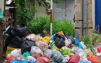 Đổ rác ngay biển cấm