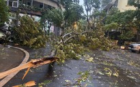 Mưa to, gió lớn ở Hà Nội và nhiều địa phương phía Bắc có phải do ảnh hưởng bão số 3?