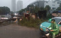 Thủ tướng yêu cầu tập trung ứng phó bão Wipha "rất mạnh, di chuyển nhanh và nguy hiểm"