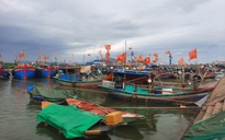 Bão số 3 (Wipha): Hơn 600 tàu, thuyền đã vào bờ tránh trú