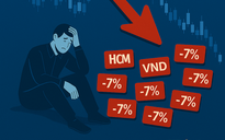Hơn 70.000 tỉ đồng đổ vào chứng khoán đến từ đâu?