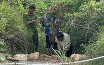 Phát hiện thi thể đang phân hủy, nghi là bé gái 2 tuổi mất tích ở Lâm Đồng 