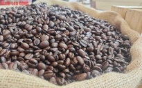 Giá cà phê hôm nay (3-7): Robusta giảm, xuất khẩu sang Mỹ tăng vọt trước giờ G
