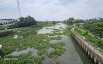 TP HCM: Tìm kiếm cô gái nghi nhảy cầu, phát hiện 2 thi thể đàn ông trôi trên sông Sài Gòn