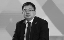 Sự nghiệp của ông Hoàng Nam Tiến, Phó Chủ tịch Hội đồng Trường Đại học FPT