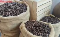 Giá cà phê hôm nay 4-7: Robusta tăng, Arabica giảm, Việt Nam xuất khẩu lập kỷ lục khó tin