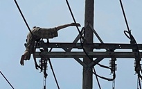 Hình ảnh người phụ nữ “đu dây điện” trước sự lo sợ của nhiều người ở TP HCM 