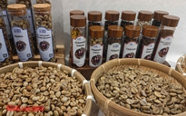 Giá cà phê hôm nay 7-7: Đã nên xả kho?