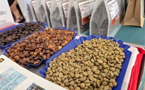 Giá cà phê hôm nay 10-7: Lao dốc mạnh, sao xuất khẩu lại lập kỷ lục?