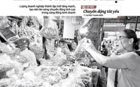 Báo in ngày 10-7: Rõ sự thật việc chặt hạ cây xanh nơi công sở ở Gia Lai