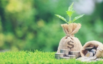 Ngân hàng tăng cường cho vay tín dụng xanh