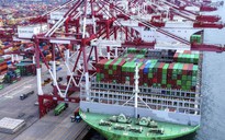 Căng thẳng thương mại tạm lắng dịu