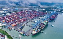 Sớm hình thành Khu Thương mại tự do Cái Mép Hạ quy mô 3.764 ha