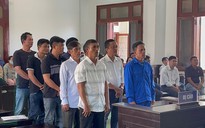 Nhiều cựu cán bộ lãnh án trong vụ phá rừng phi lao 28.000m2