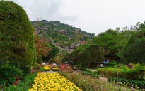 Tức Dụp – ngọn đồi đặc biệt ở miền Tây