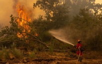 Nắng nóng, cháy rừng hoành hành ở châu Âu