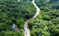 Khách du lịch mất tích nhiều ngày trong rừng Cúc Phương
