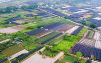 Nhiều quy định mới về đất đai có hiệu lực từ ngày 15-8 