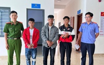 Hành trình truy bắt 3 kẻ trộm gốc sâm Ngọc Linh giá hàng trăm triệu đồng ở Đà Nẵng