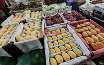 Bất ngờ về lượng xoài Trung Quốc về chợ TP HCM