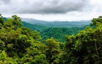 Động thái của Ninh Bình sau vụ việc nam du khách tử vong trong rừng Cúc Phương