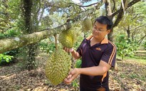 Cấp bách phát triển nông nghiệp xanh