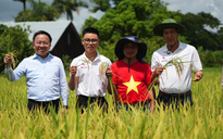 VTV Đặc biệt "Hạt giống hạnh phúc" lên sóng đúng ngày 2-9